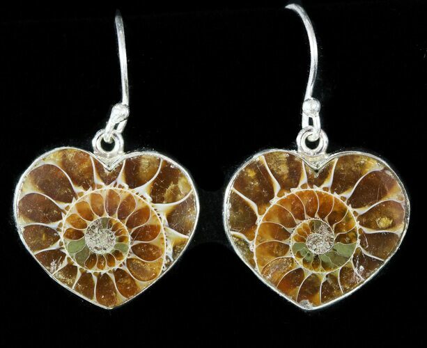 Fossil Ammonite Earrings - Sterling Silver #48746